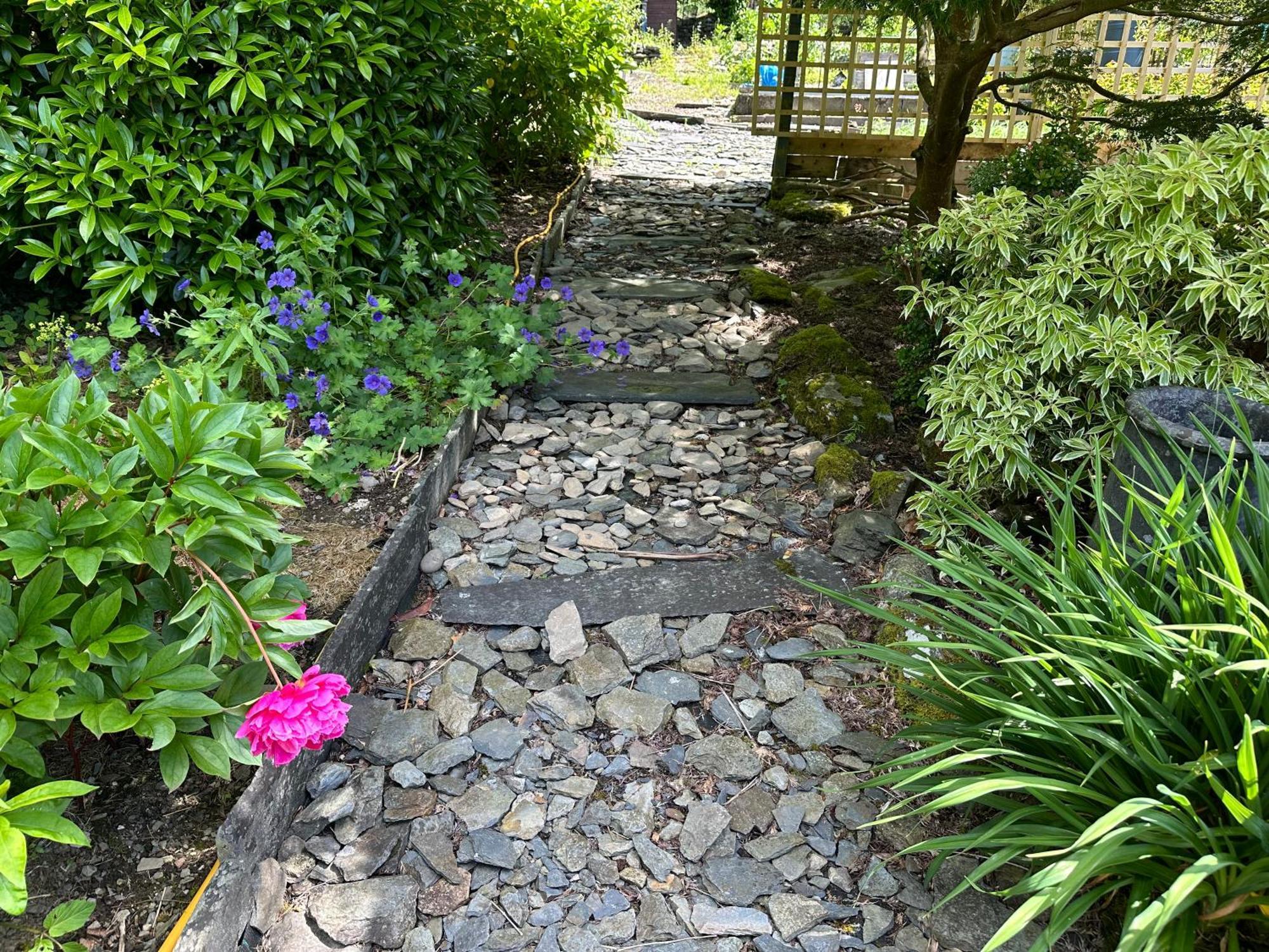 Tyn Y Fron 6 Bedroom House In Betws-Y-Coed Snowdonia Luaran gambar