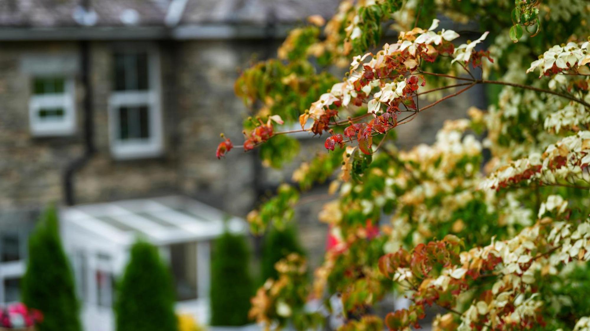 Tyn Y Fron 6 Bedroom House In Betws-Y-Coed Snowdonia Luaran gambar